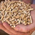 ventajas de los pellets